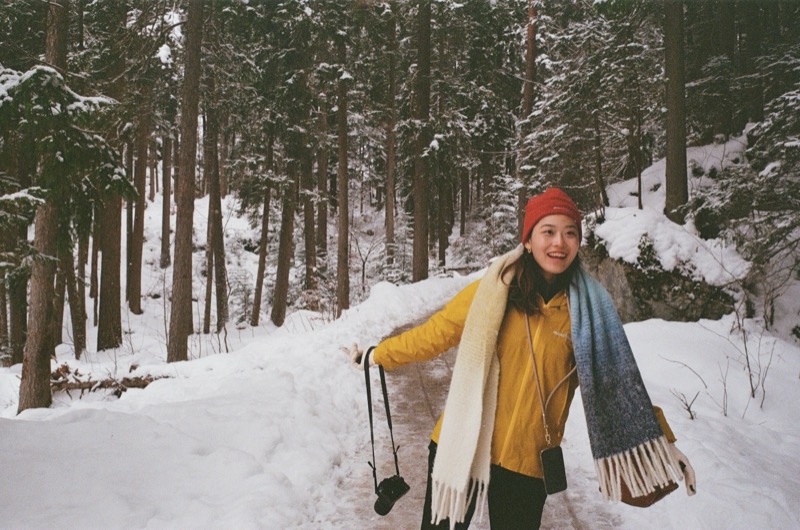 Snowy Forest Walk
