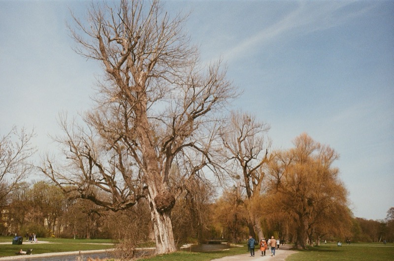 English Garden