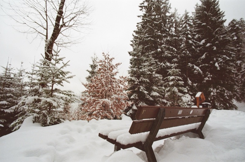 Snowy Bench